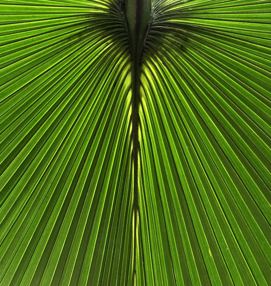 Photograph by Мария Бессмертная