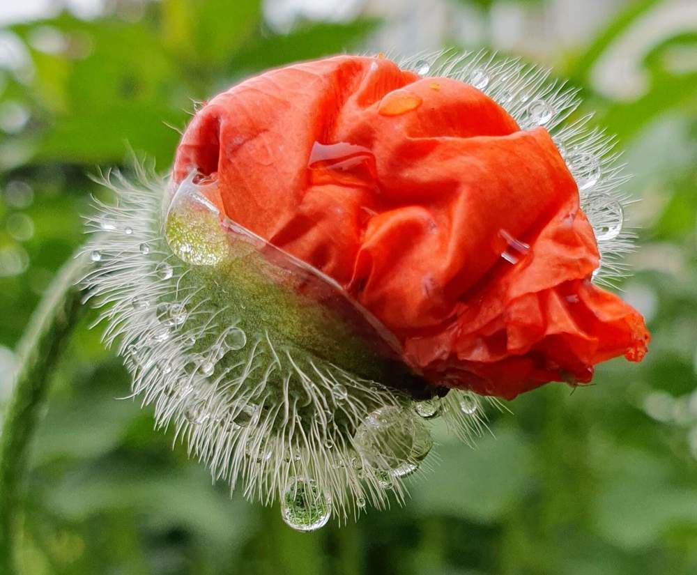 Photograph by Жанна Регор