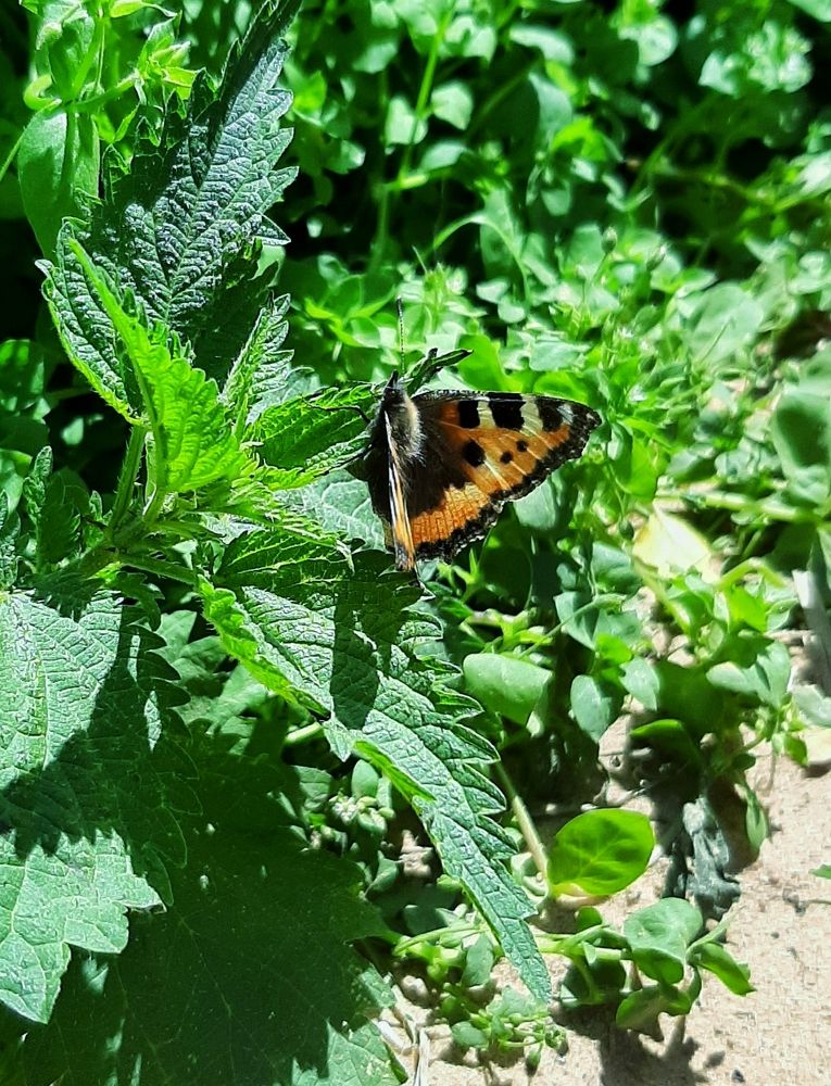 Photograph by Наталья Шехова