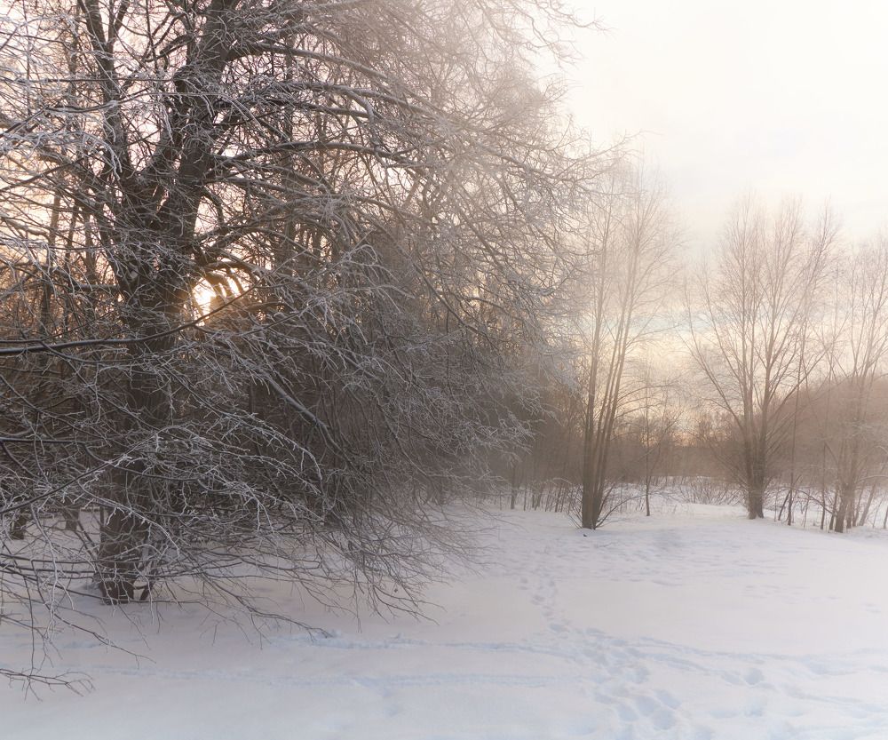 Photograph by Inna Tatarchenko