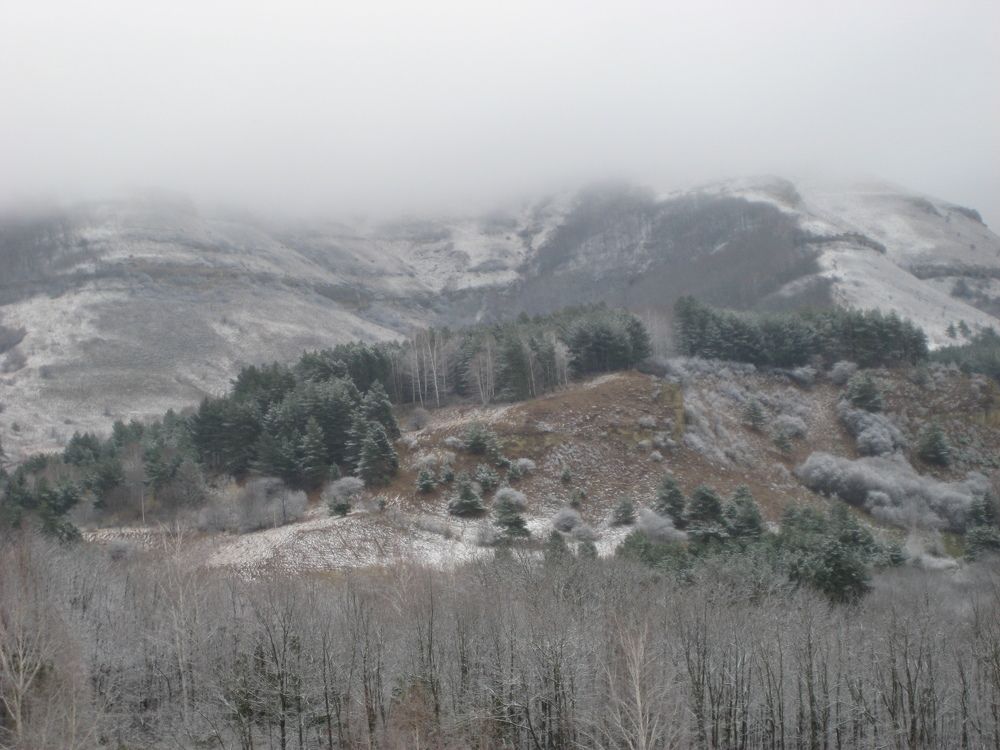 Фотография автора Елена Александрова