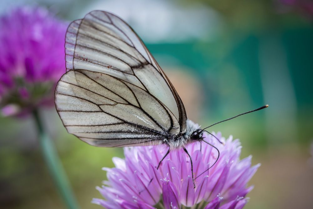 Photograph by Высотских Владимир