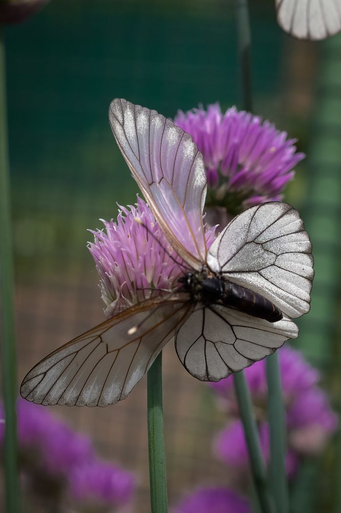 Photograph by Высотских Владимир