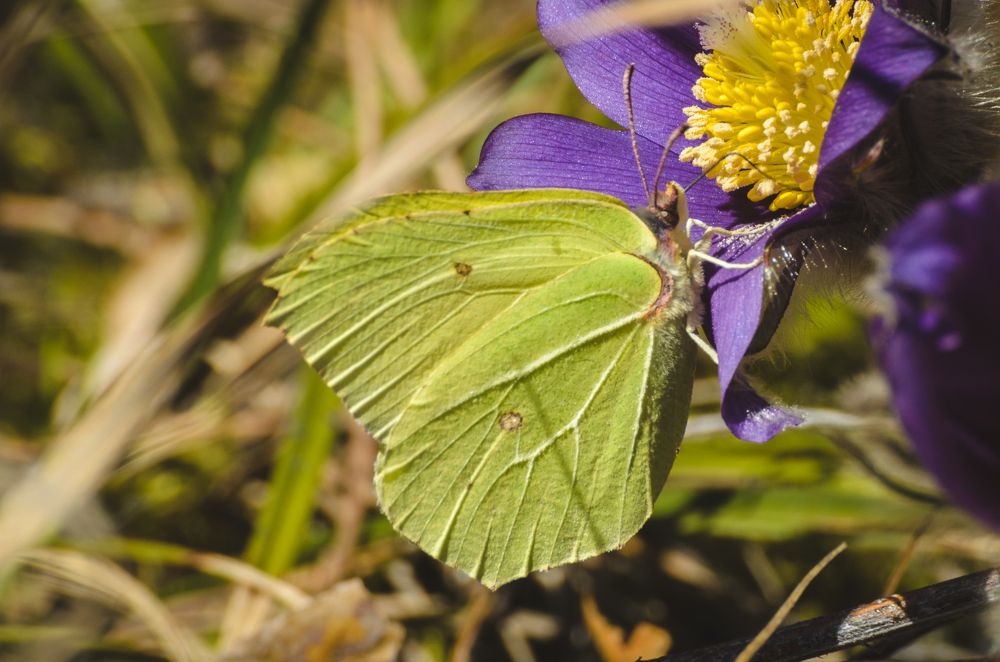 Photograph by Наталья Сафонова