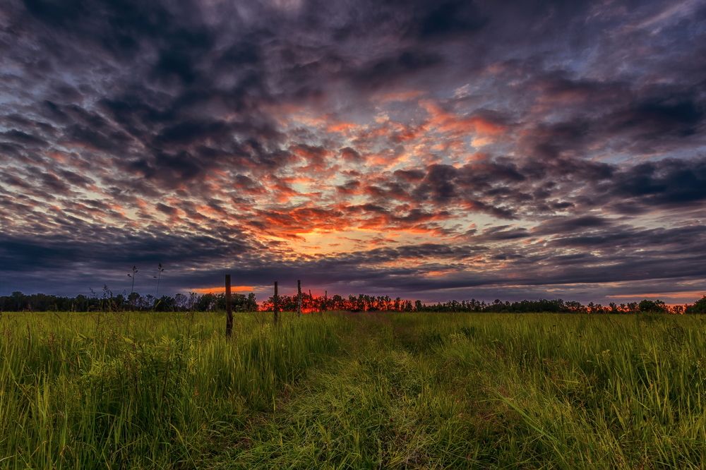 Photograph by Сундеев Дмитрий