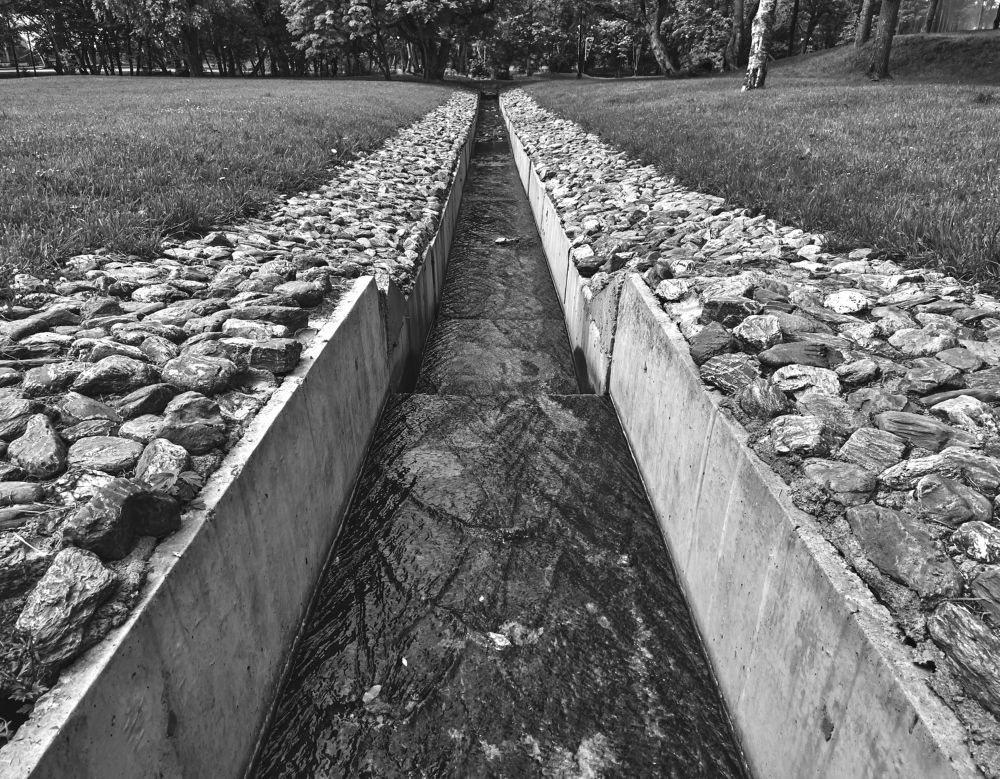 Фотография автора Бороненков Вадим