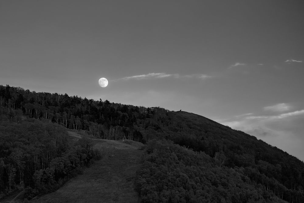 Фотография автора Бороненков Вадим