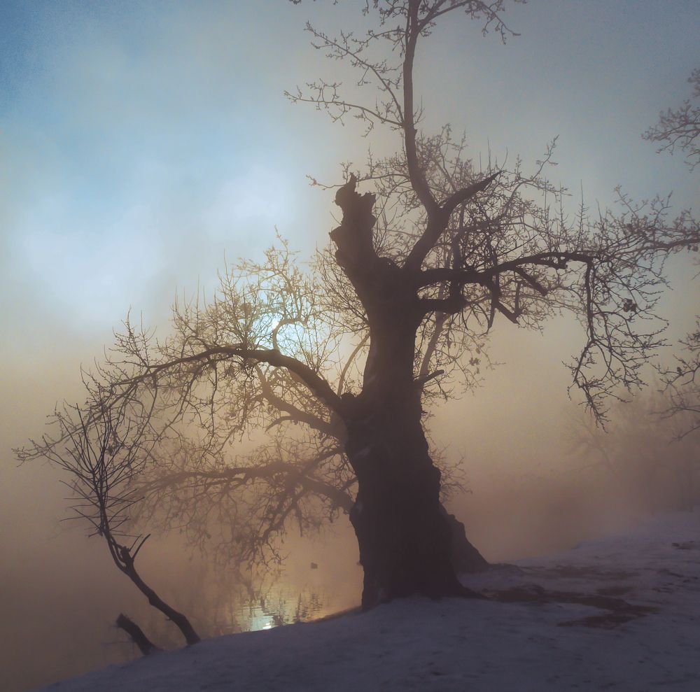 Photograph by Андрей Евтеев