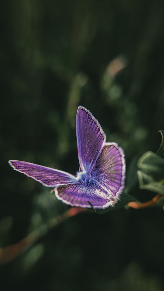 Photograph by Natalya