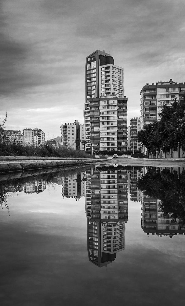 Photograph by Марина Горшкова