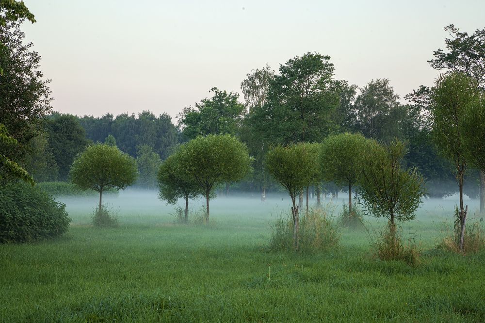 Photograph by Николай Рымар