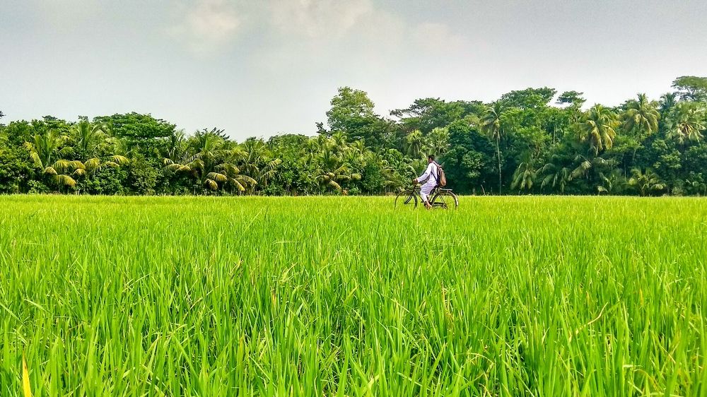 Photograph by Af Naf Shahriar
