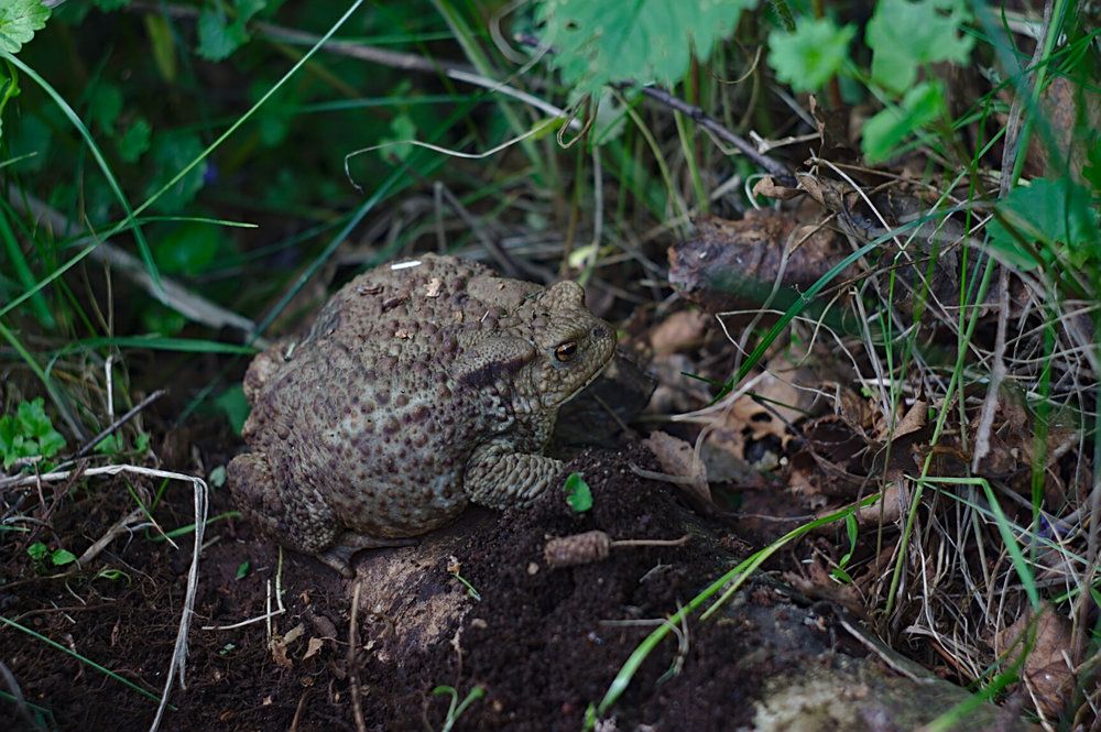 Photograph by Евгений Беленков