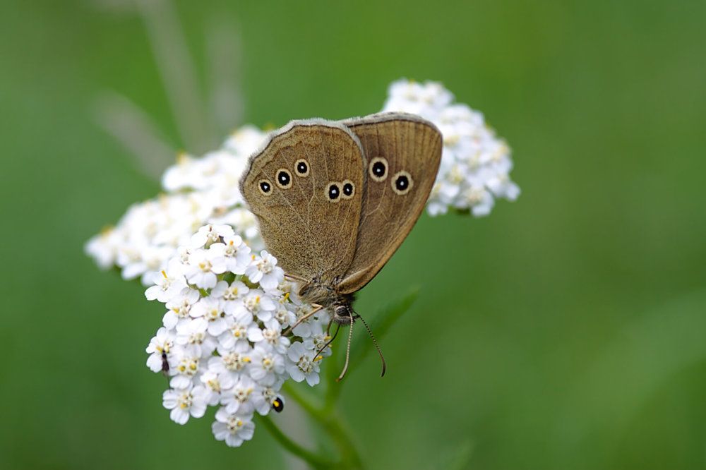 Photograph by Евгений Беленков
