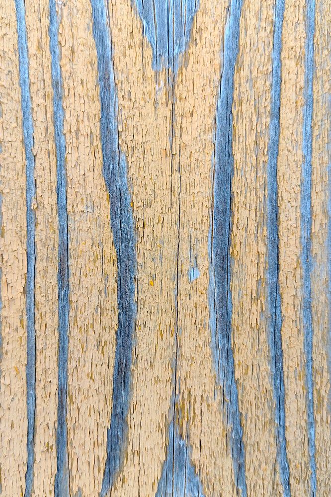 Photograph by Евгений Беленков