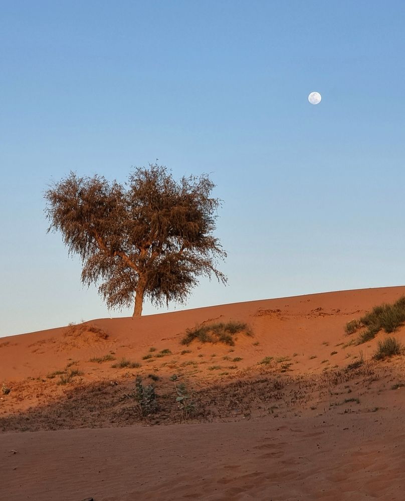 Photograph by Асад Ибадов