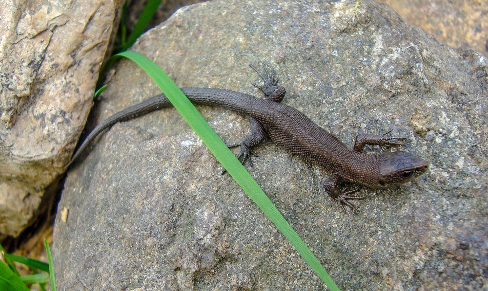 Photograph by IRINA KORNEVA