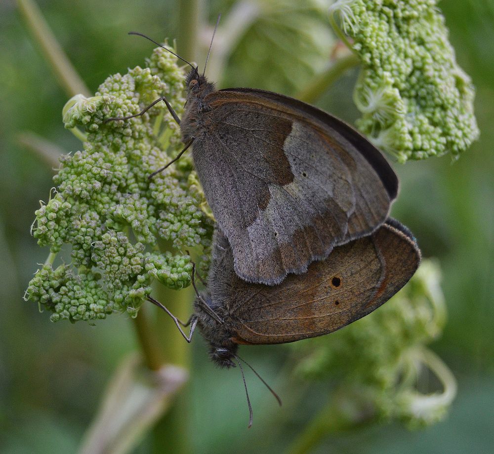 Фотография автора Сергей Суворов