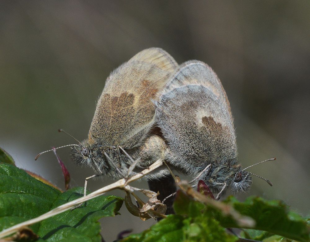 Фотография автора Сергей Суворов