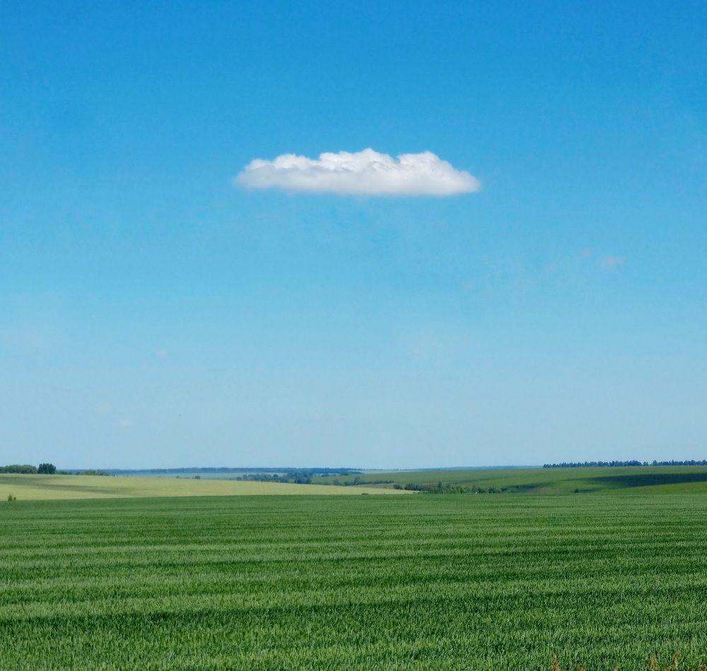 Photograph by Асад Ибадов