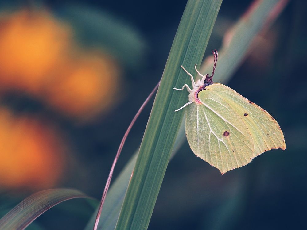 Photograph by Юлия Серазетдинова