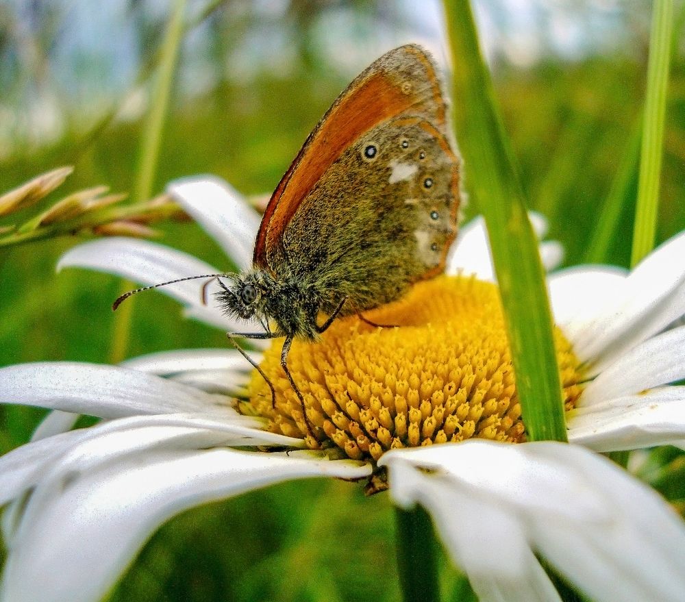 Photograph by IRINA KORNEVA