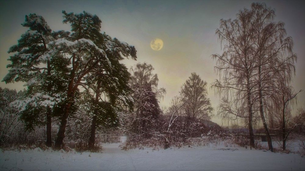 Photograph by Стас Неклюдов