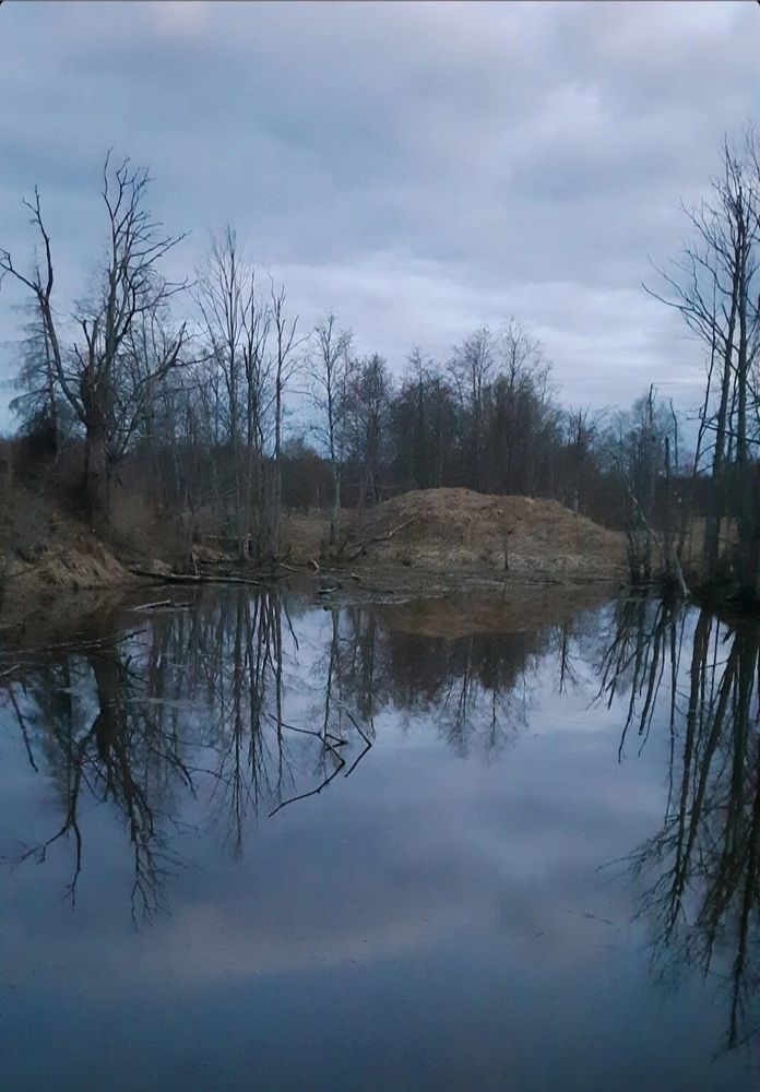 Photograph by Светлана Цапина