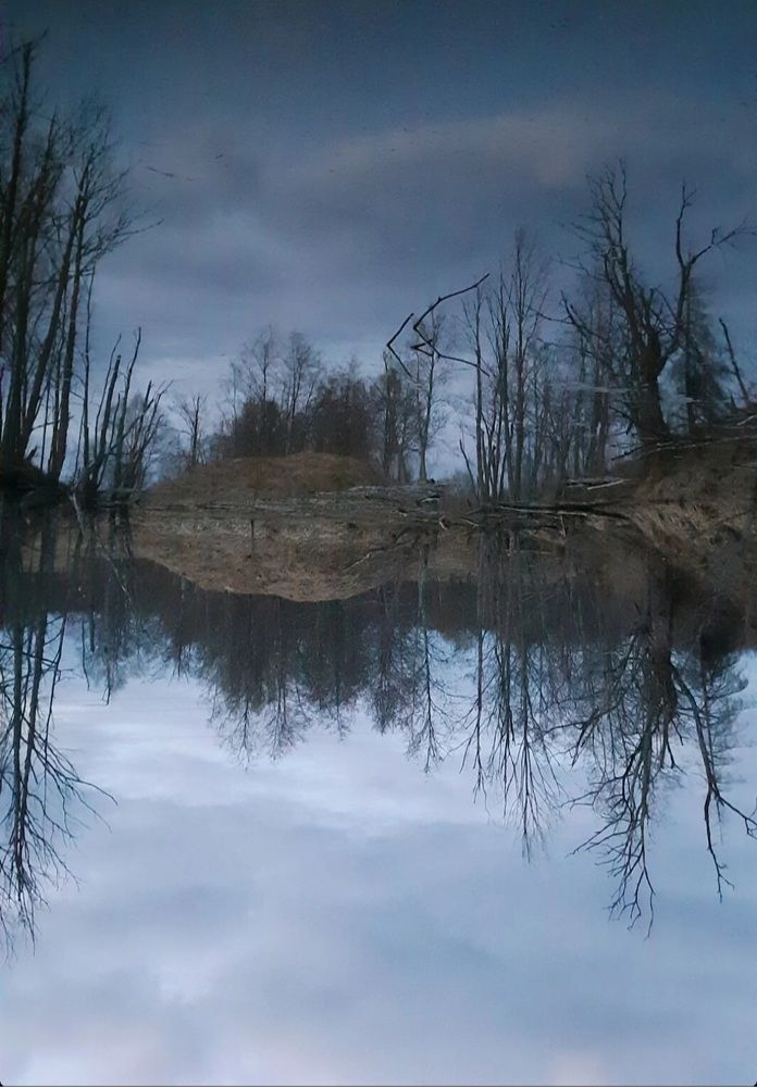 Инопланетная симметрия