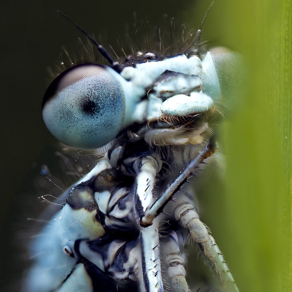 Photograph by Иван Радьков