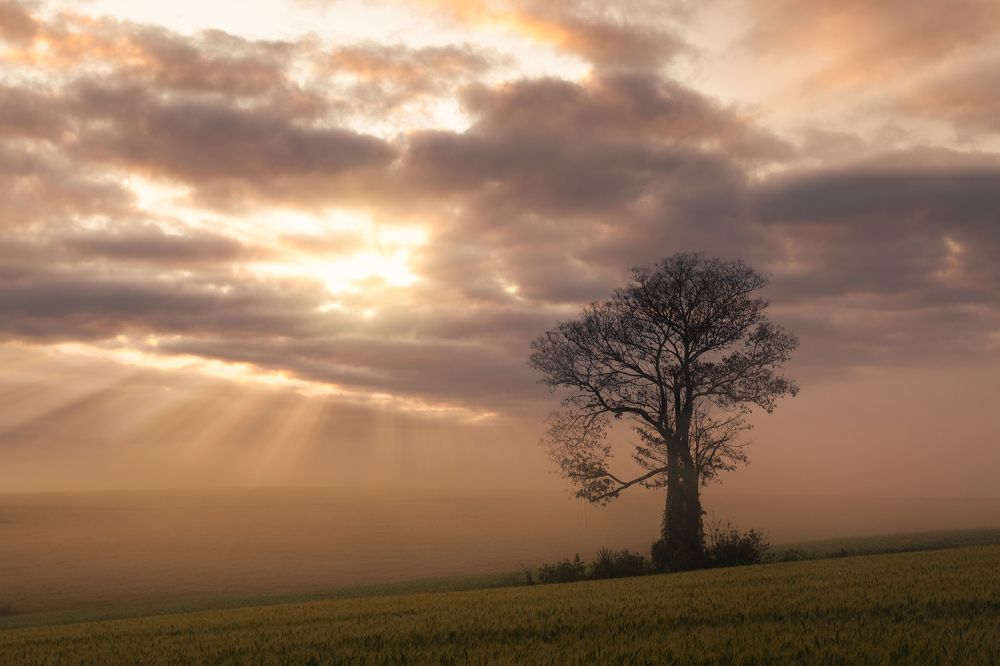 Photograph by Valdir Hobus