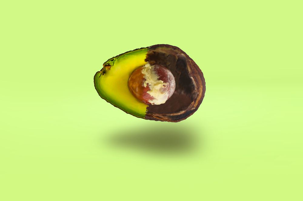 Фотография автора Светлана Рыжих