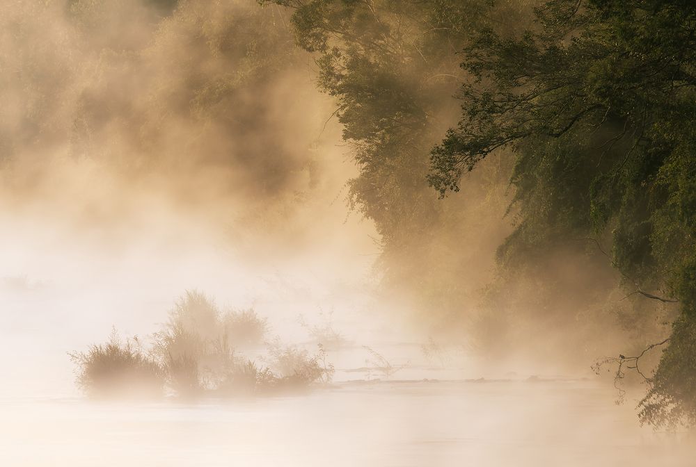 Photograph by Valdir Hobus