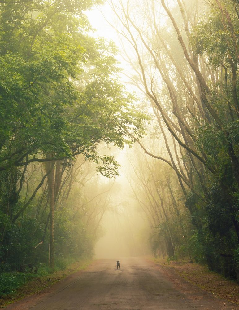 Photograph by Valdir Hobus