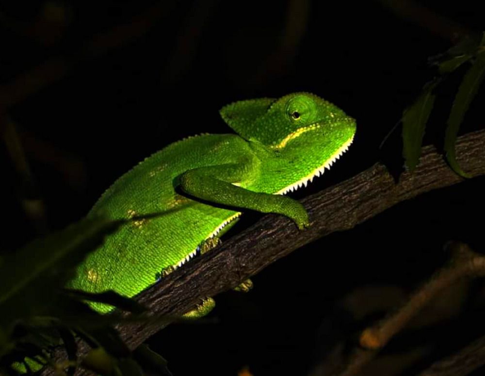 Photograph by Omkar Deshpande