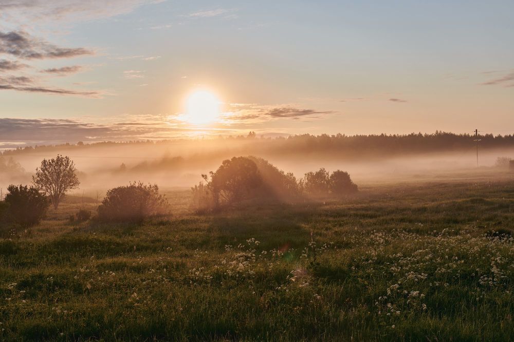 Photograph by Сергей Ветошкин