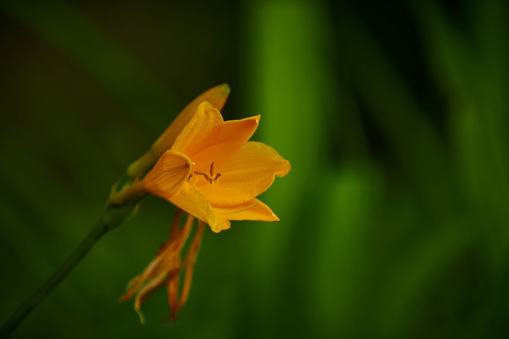 Фотография автора Александр Жданов