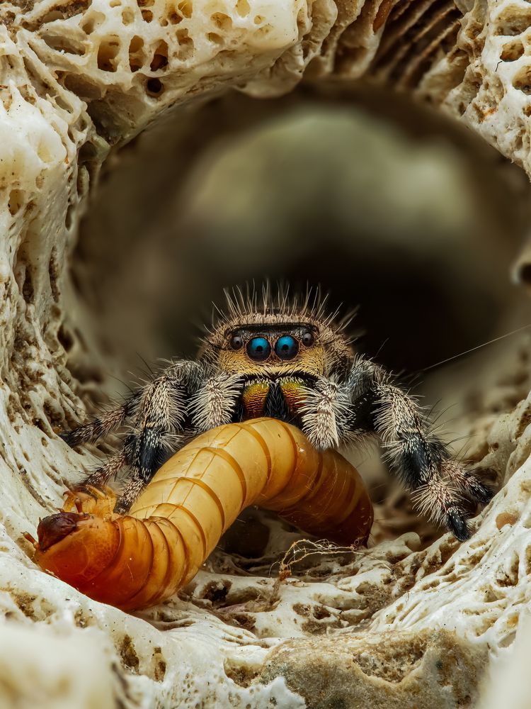 Photograph by Tran The Ngoc