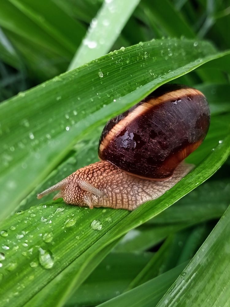Photograph by Ирина Чувило