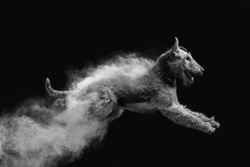 Photograph by Maja Lesar