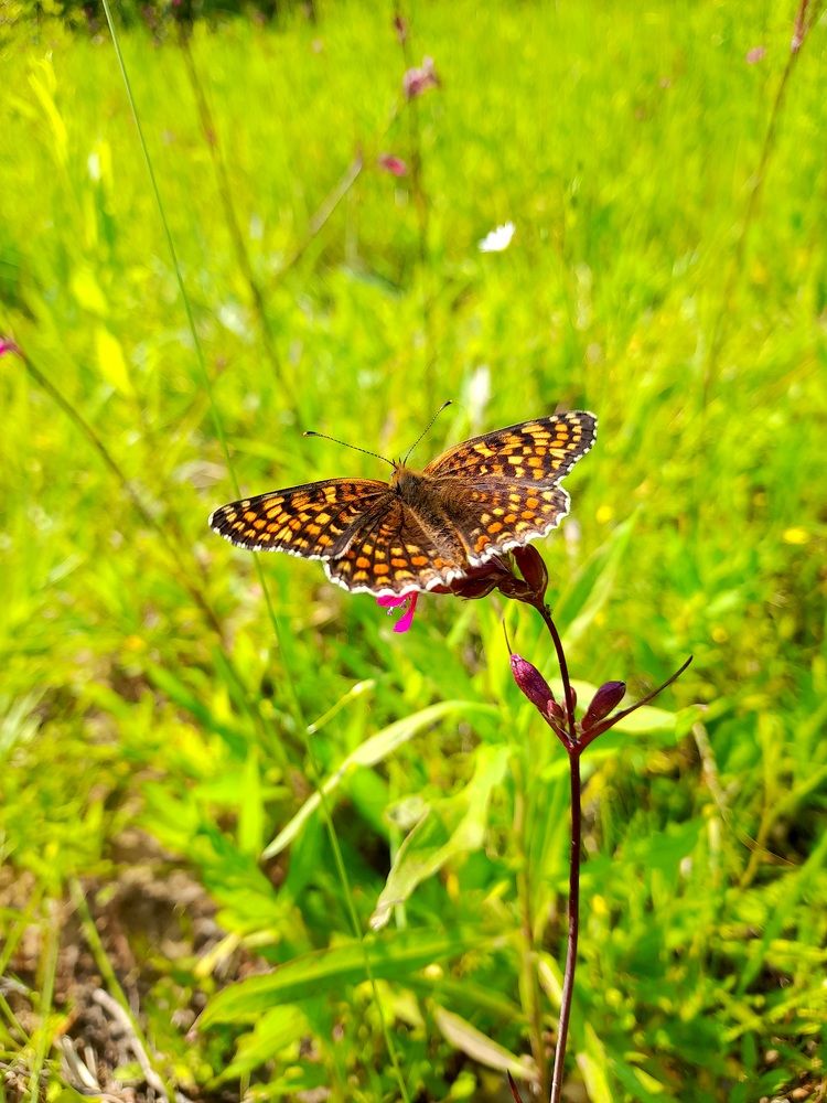 Photograph by Екатерина