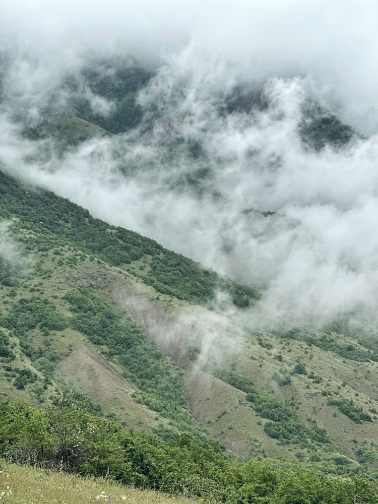 Photograph by Antonina Marchenko