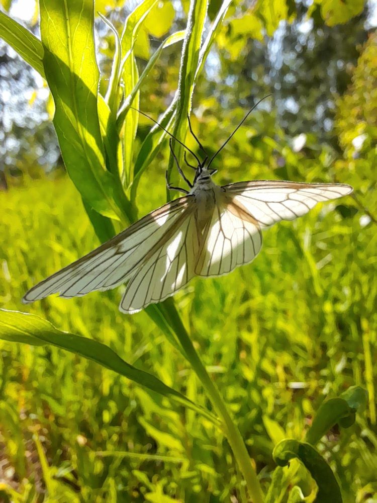 Photograph by Екатерина