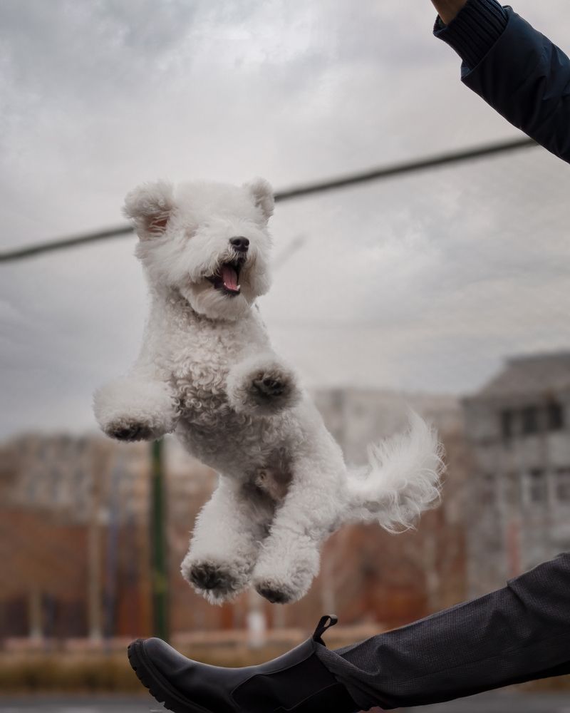 Photograph by Валерия Васина