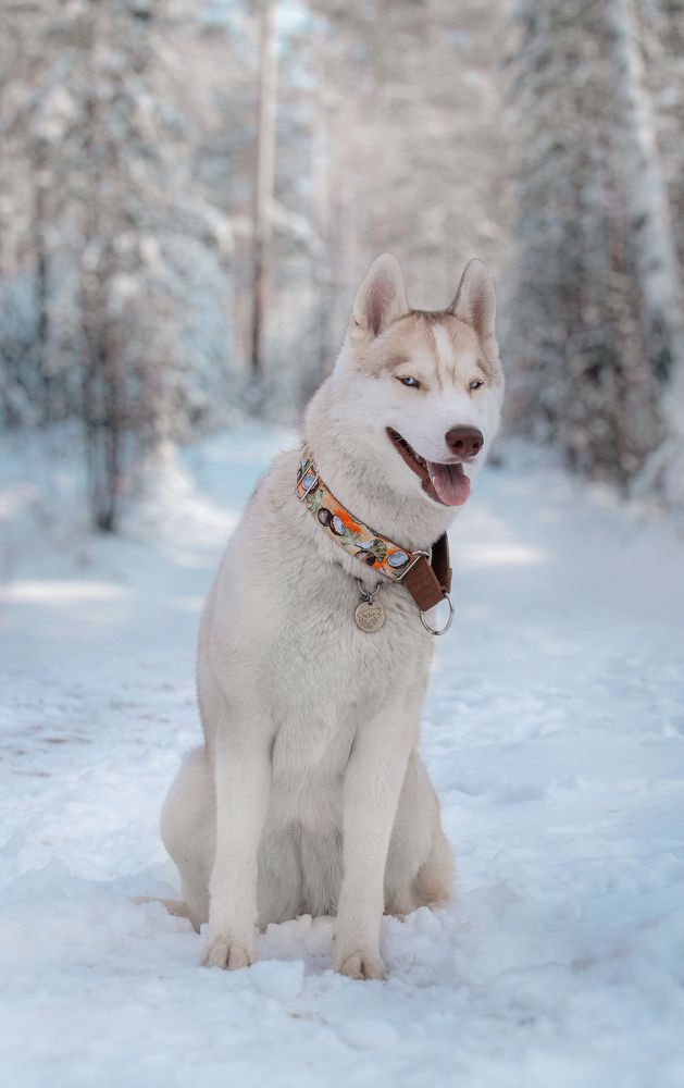 Photograph by Валерия Васина