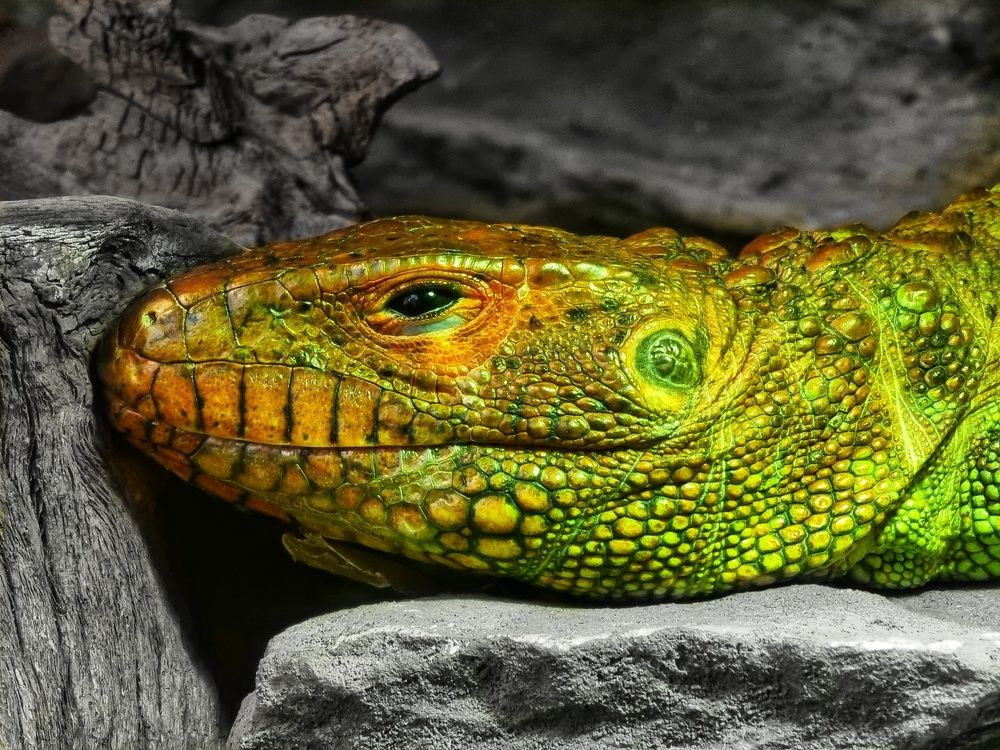 Photograph by Вячеслав Кононенео