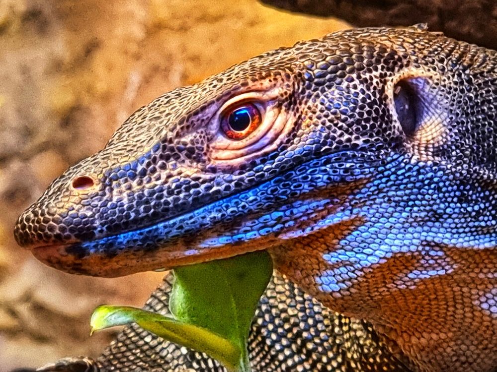 Photograph by Вячеслав Кононенео