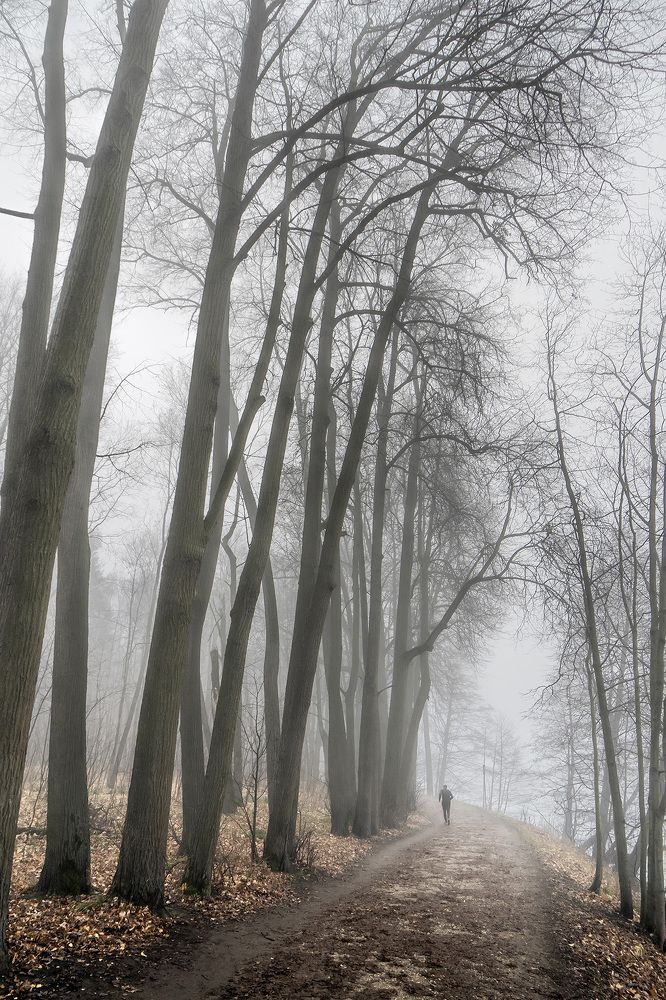 Photograph by Руслан Орлов