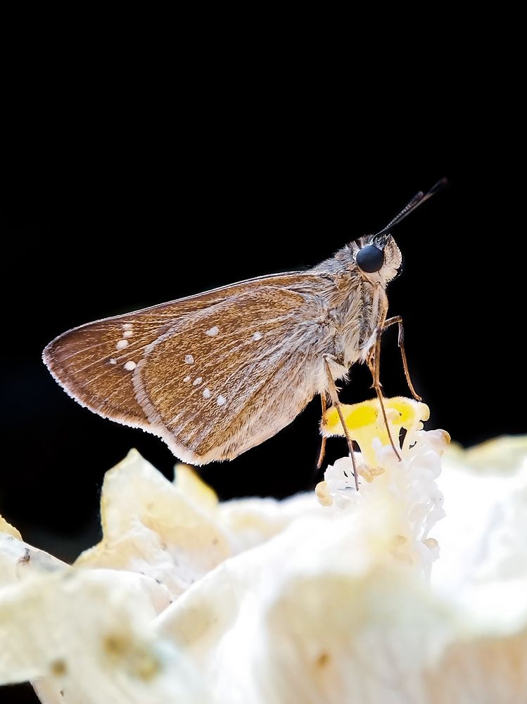 Photograph by Antaryami Das