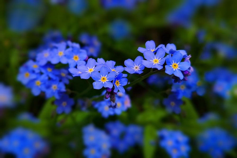 Photograph by Татьяна Бравая